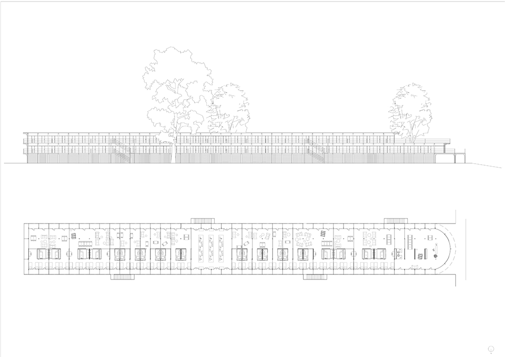 Plan R+1 et élévation